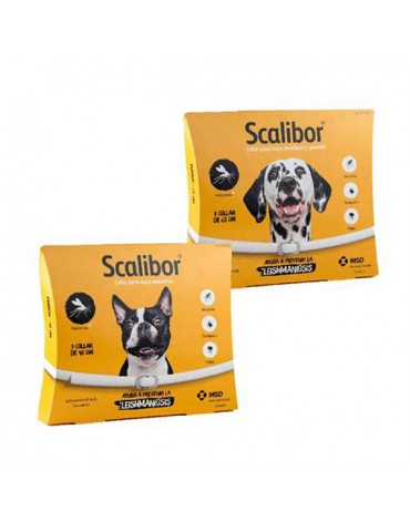 SCALIBOR