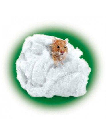ALGODON HAMSTER
