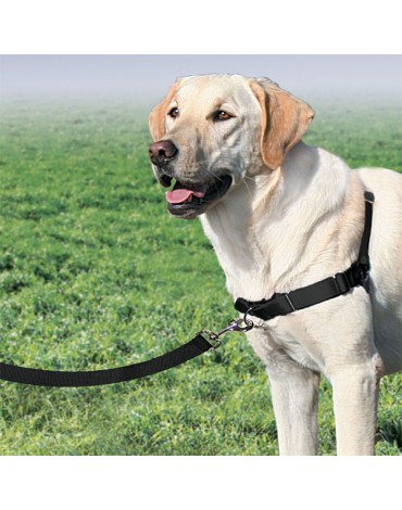 ARNES PETSAFE EASY-WALK