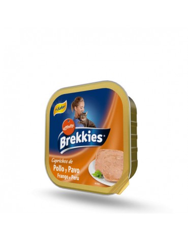BREKKIES EXCEL CAT TARRINA