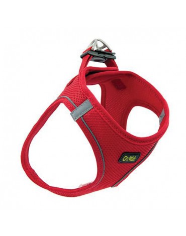 ARNES GO WALK ROJO