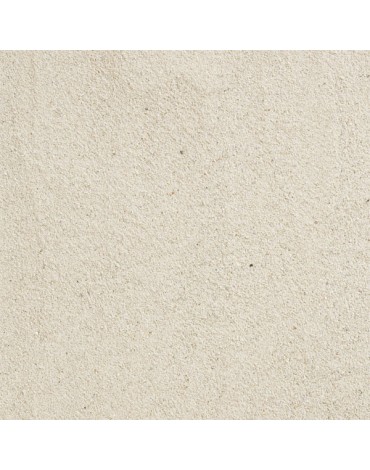 ARENA TERRARIO COAST BLANCO 4KG