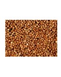 SORGO
