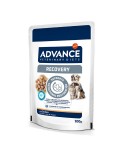 AVD DOG&CAT WET RECOVERY 100 GR. 1.75