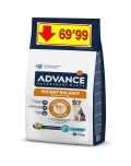 AVET  WEIGHT BALANCE