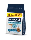 ADVANCE DOG MEDIUM ADULT