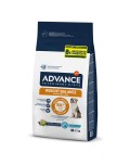 AVET  WEIGHT BALANCE