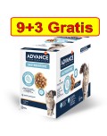 AVD CAT WET GASTROENTERIC 85 GR 9+3 12.99