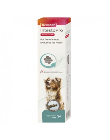 INTESTOPRO REGULADOR INTESTINAL PASTA